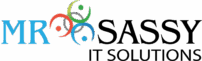 mr-sassy